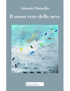 Il senso vero della neve