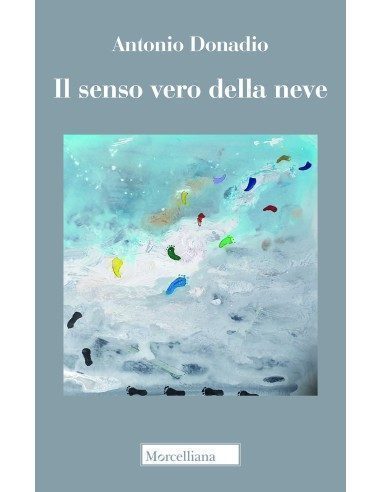 Il senso vero della neve