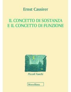 Il concetto di sostanza e il concetto di funzione