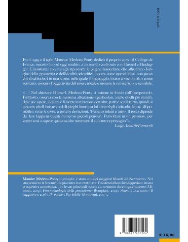 Husserl ai limiti della fenomenologia