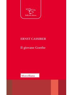 Il giovane Goethe